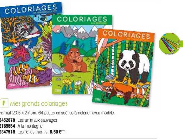 mes grands coloriages