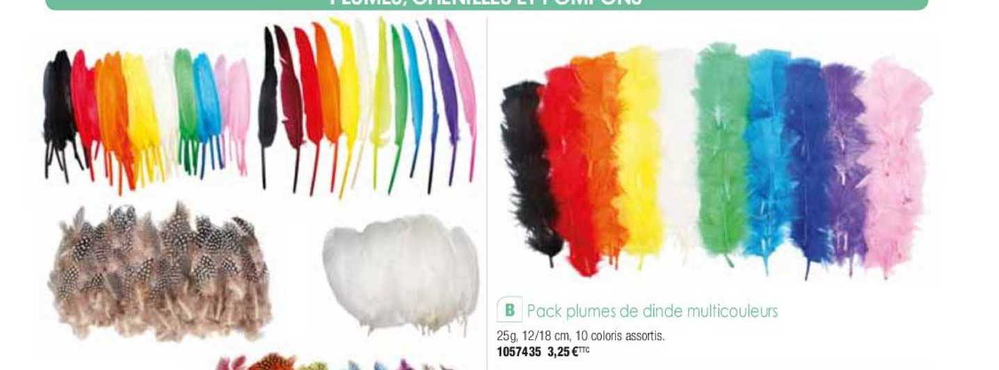 pack plumes de dinde multicouleurs