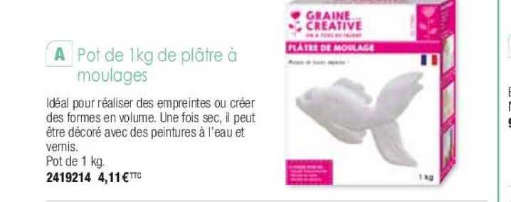 pot de 1kg de plâtre à moulages