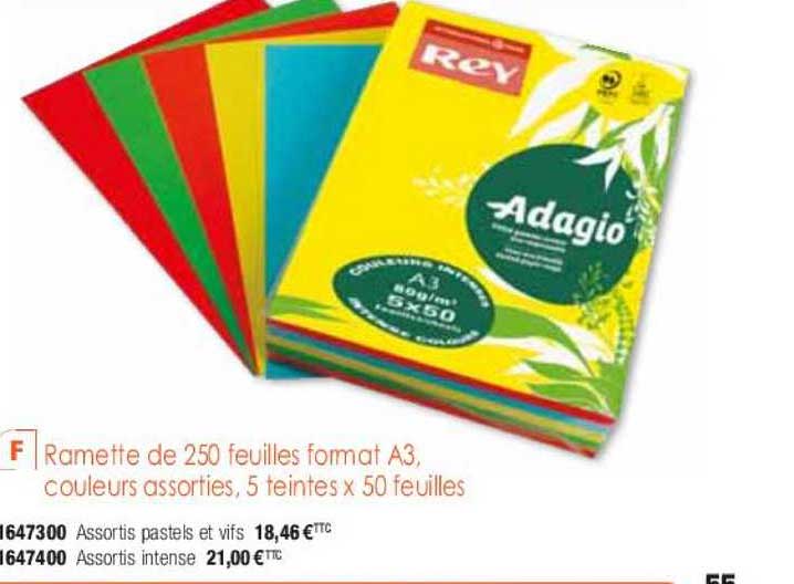 ramette de 250 feuilles format a3 couleurs assorties 5 teintes x 50 feuilles