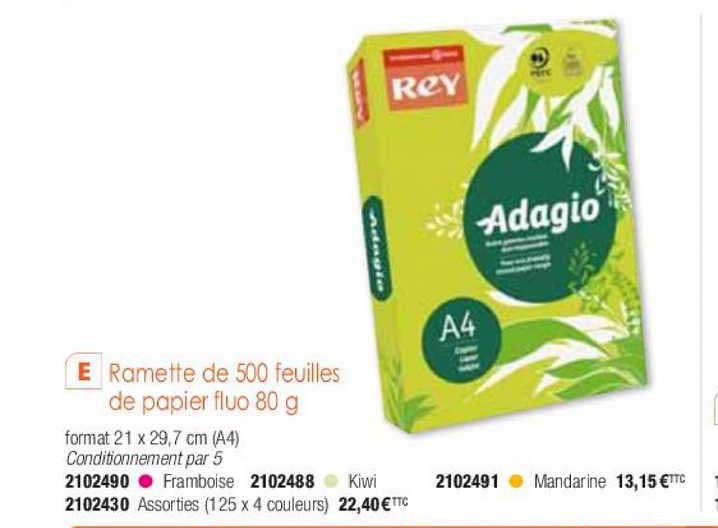 ramette de 500 feuilles de papier fluo 80g