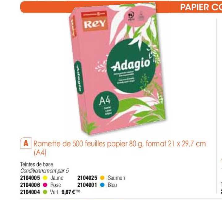 ramette de 500 feuilles papier 80 g format 21 x 29.7 cm (a4)