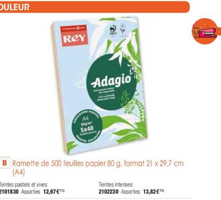 ramette de 500 feuilles papier 80 g format 21 x 29.7 cm