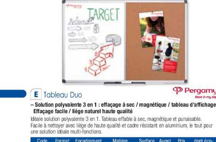 tableau duo  pergamy more in my day