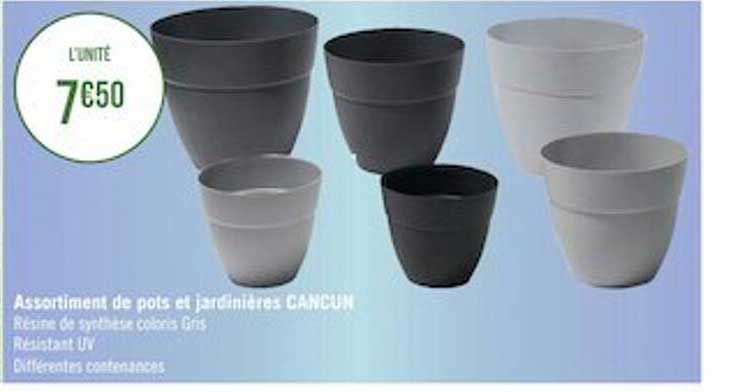 assortiment de pois et jardinières cancun