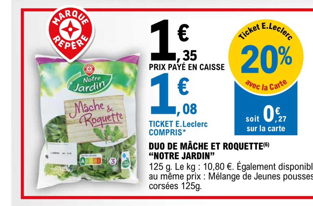 duo de mâche et roquette notre jardin