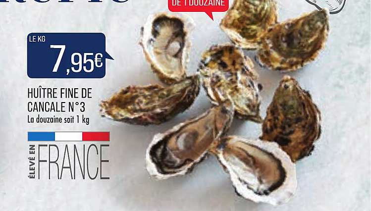 huître fine de cancale n° 3