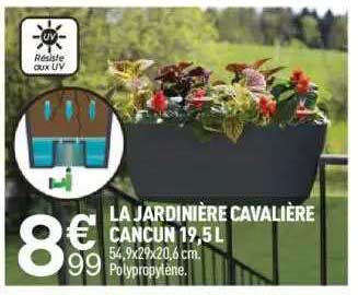 la jardinière cavalière cancun 19.5l