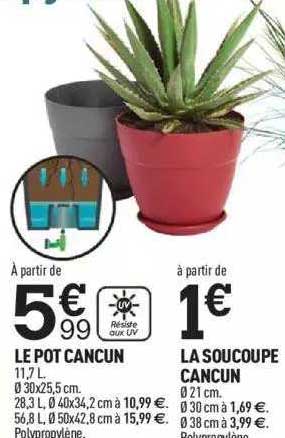 le pot cancun la soucoupe cancun