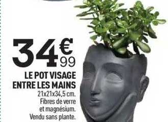 le pot visage entre les mains