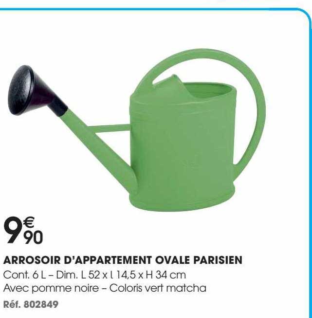 arrosoir d'appartement ovale parisien