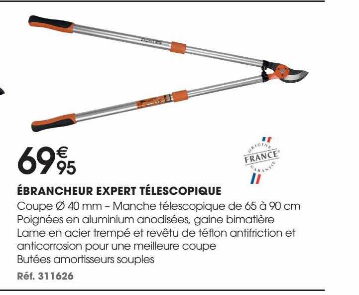 ébrancheur expert télescopique