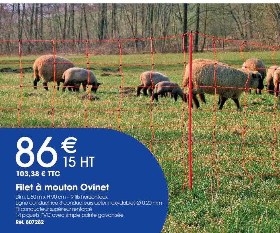 filet à mouton ovinet