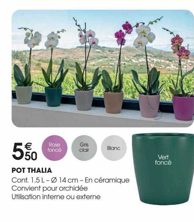 Pot Thalia