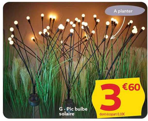 pic bulbe solaire