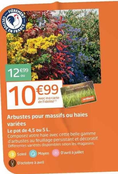 arbustes pour massifs ou haies variées