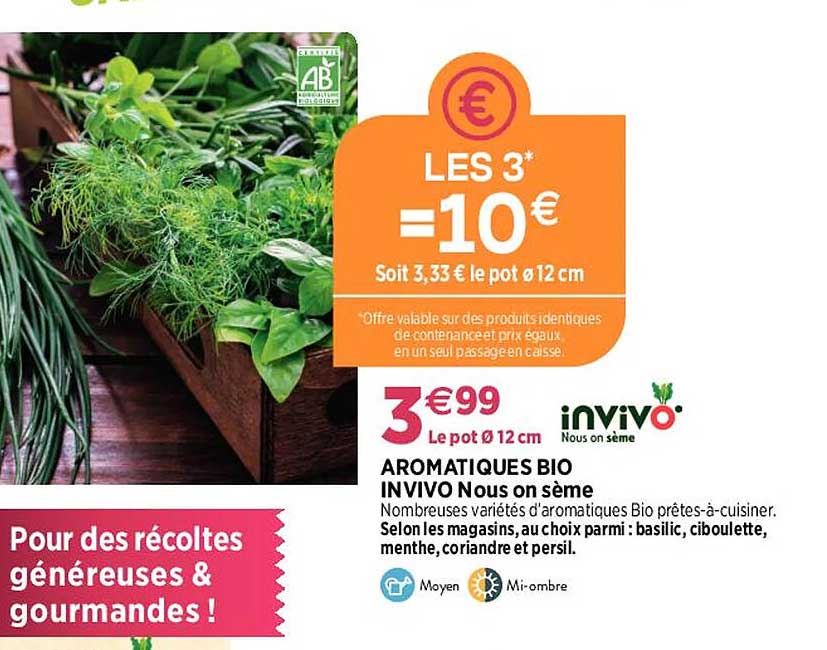 aromatiques bio invivo nous on sème