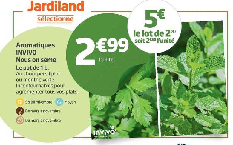 aromatiques invivo nous on sème