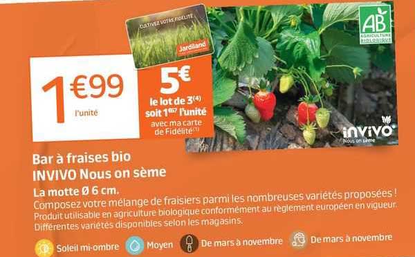 bar à fraises bio invivo nous on sème