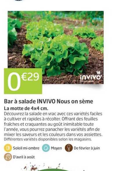 bar à salade invivo nous on sème