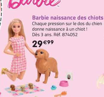 barbie naissance des chiots