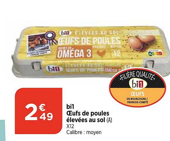 bi1 œufs de poules élevées au sol