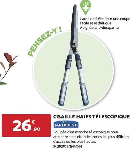cisaille haies télescopique jardibest