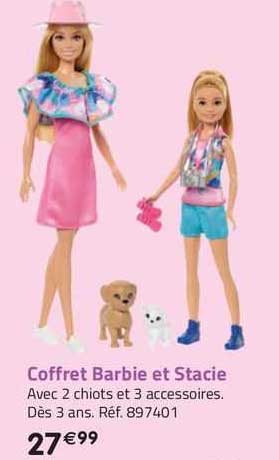 coffret barbie et stacie