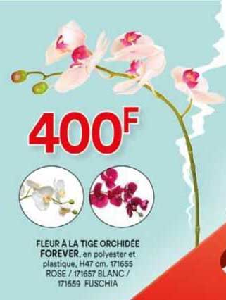 fleur à la tige orchidée forever