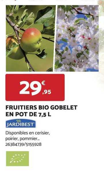fruitiers bio gobelet en pot de 7,5 l jardibest