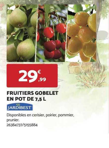 fruitiers gobelet en pot de 7,5 l jardibest