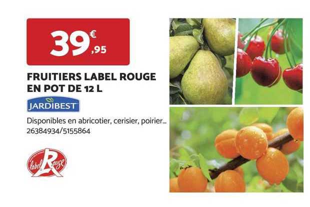 fruitiers label rouge en pot de 12 l jardibest