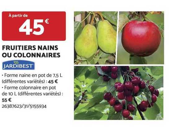 fruitiers nains ou colonnaires jardibest