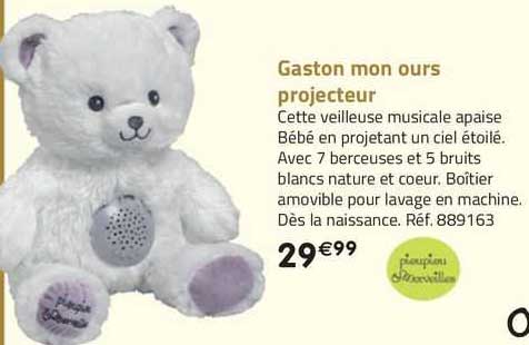 gaston mon ours projecteur