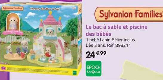 Le Bac à Sable Et Piscine Des Bébés