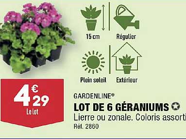 lot de 6 géraniums gardenline