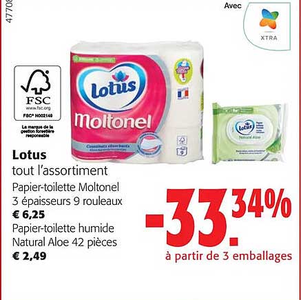 lotus tout l'assortiment