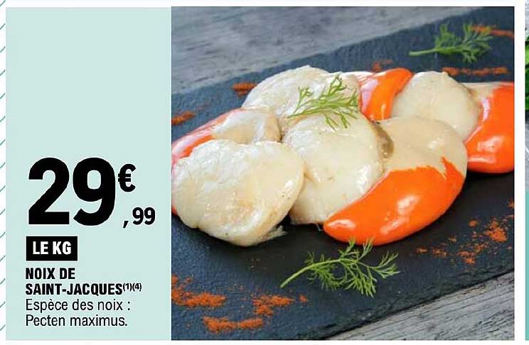 noix de saint-jacques