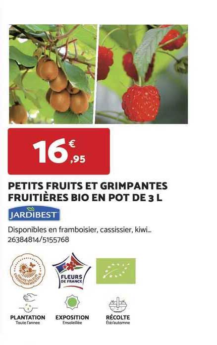 petits fruits et grimpantes fruitières bio en pot de 3 l jardibest