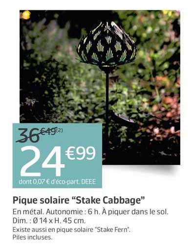 pique solaire "stake cabbage"