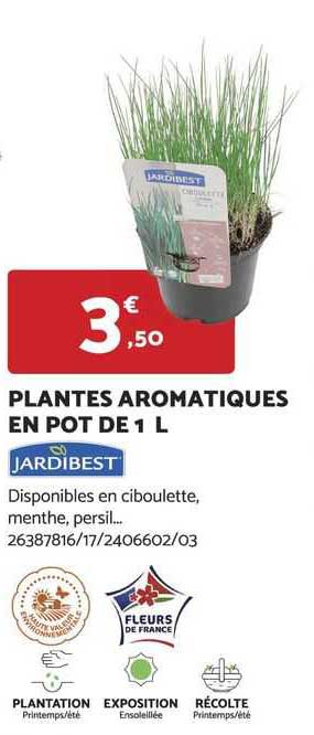 plantes aromatiques en pot de 1 l jardibest