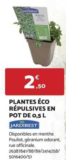 plantes éco répulsives en pot de 0,5 l jardibest