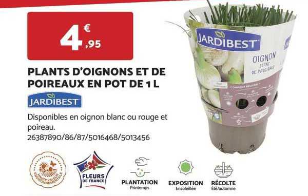 plants d'oignons et de poireaux en pot de 1 l jardibest