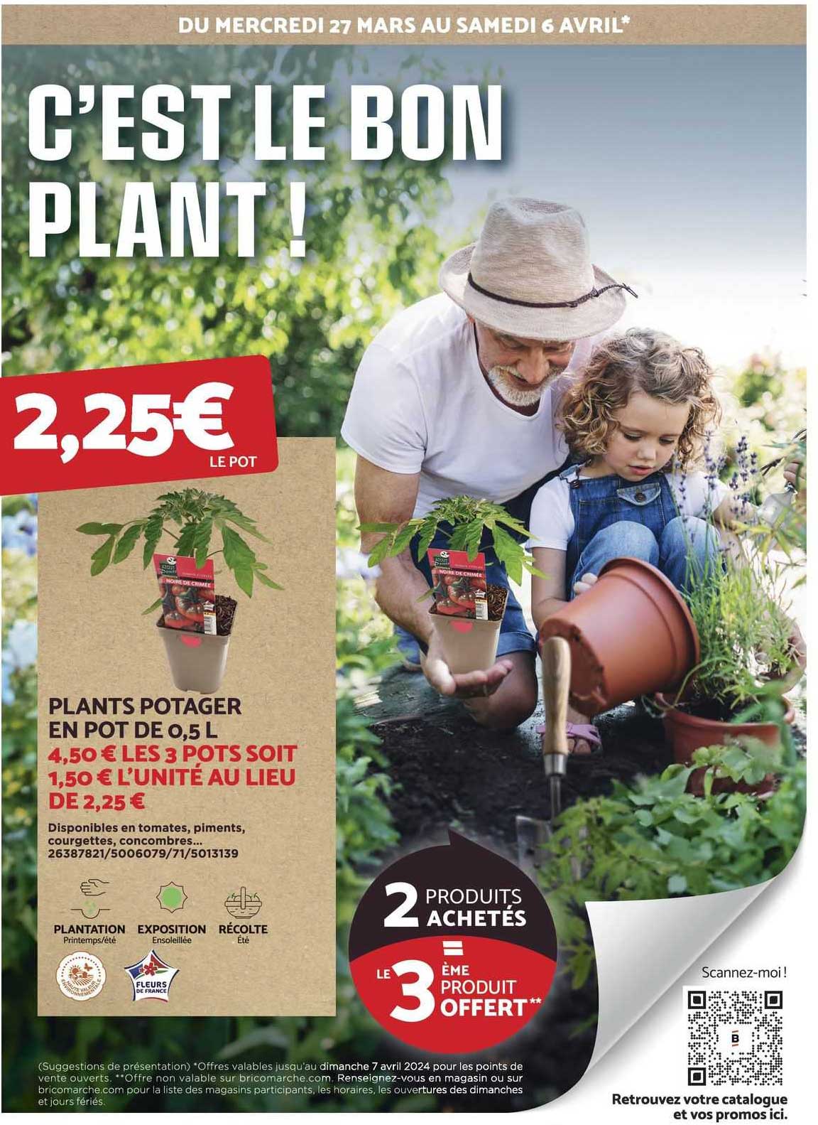 plants potager en pot de 0,5 l