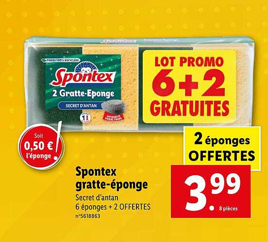spontex gratte-éponge