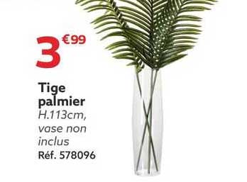 tige palmier