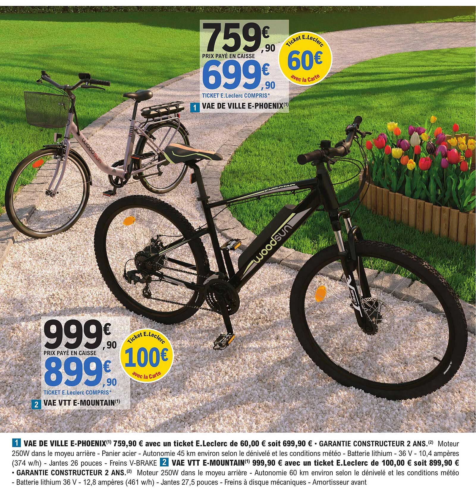 vae vtt e-mountain, vae de ville e-phoenix