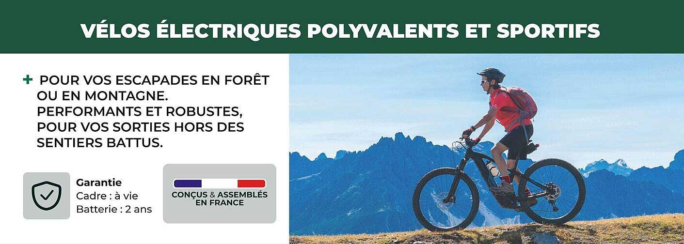 vélos électriques polyvalents et sportifs
