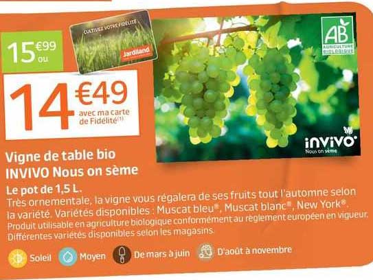 vigne de table bio invivo nous on sème