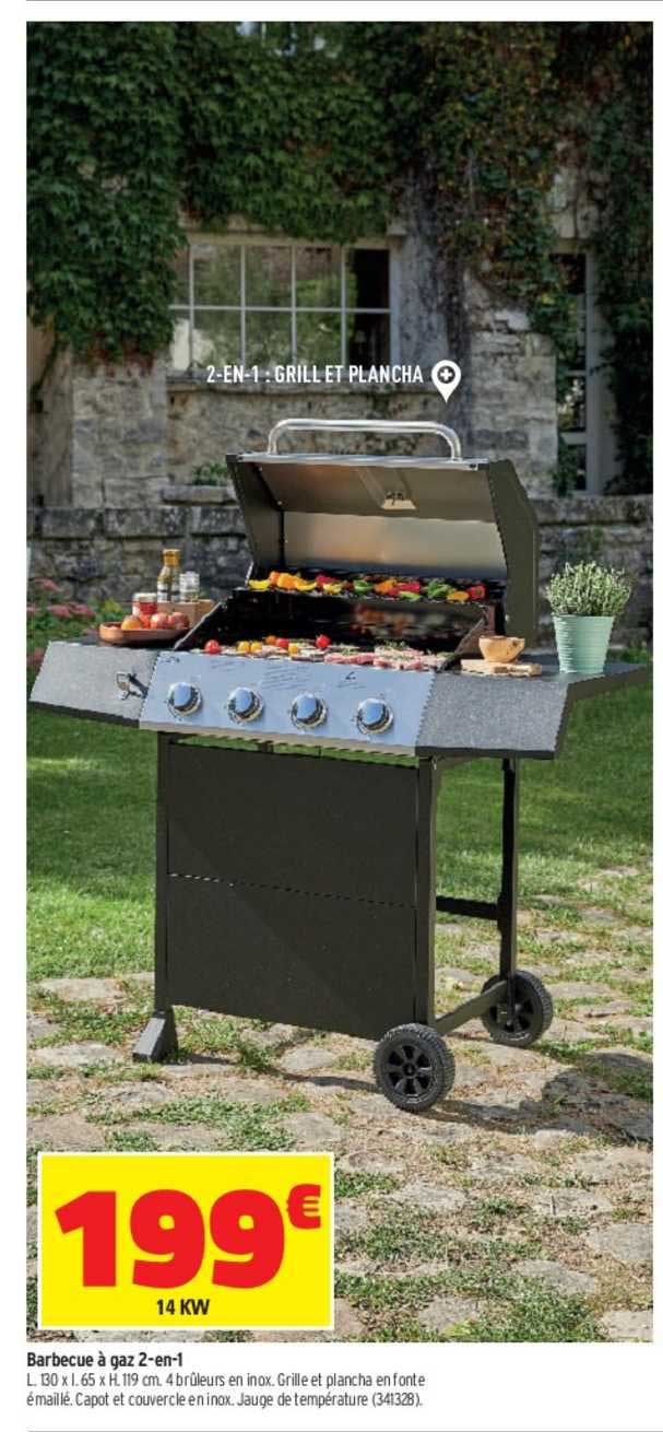 barbecue à gaz 2-en-1